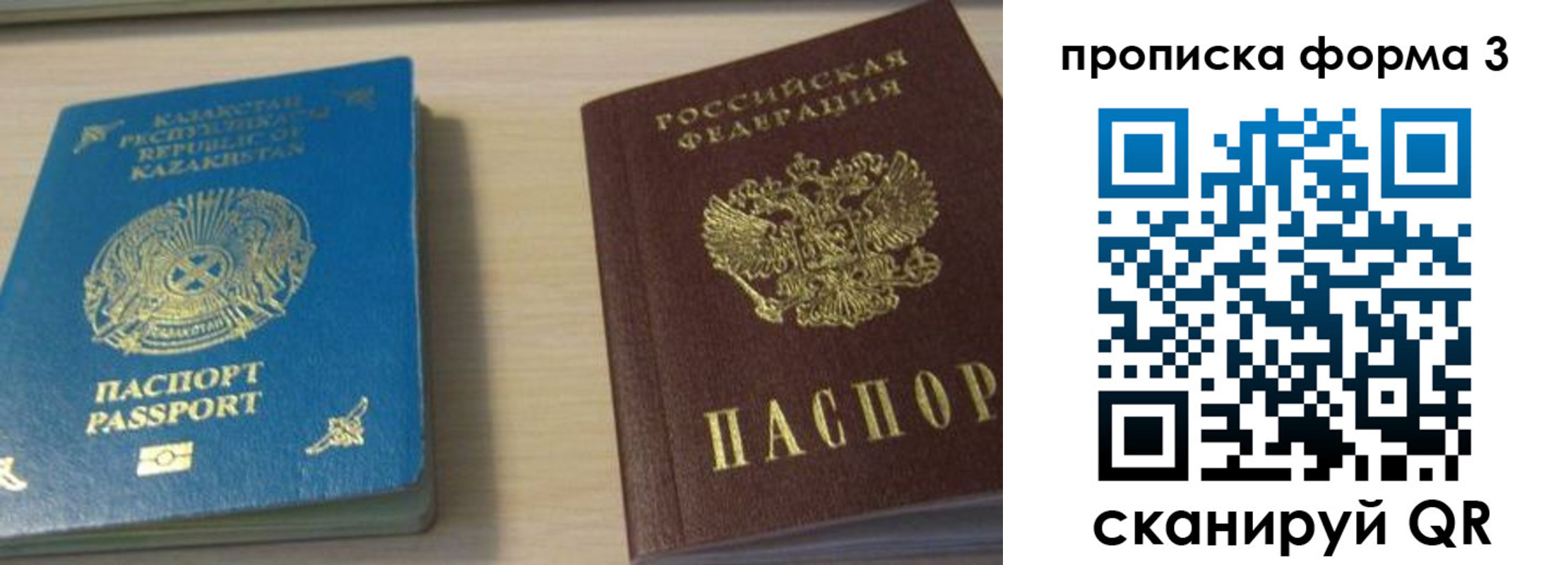 временная регистрация для школы в Оленегорске